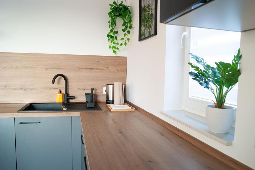 Studio Apartment Marbach Marbach am Neckar Luaran gambar